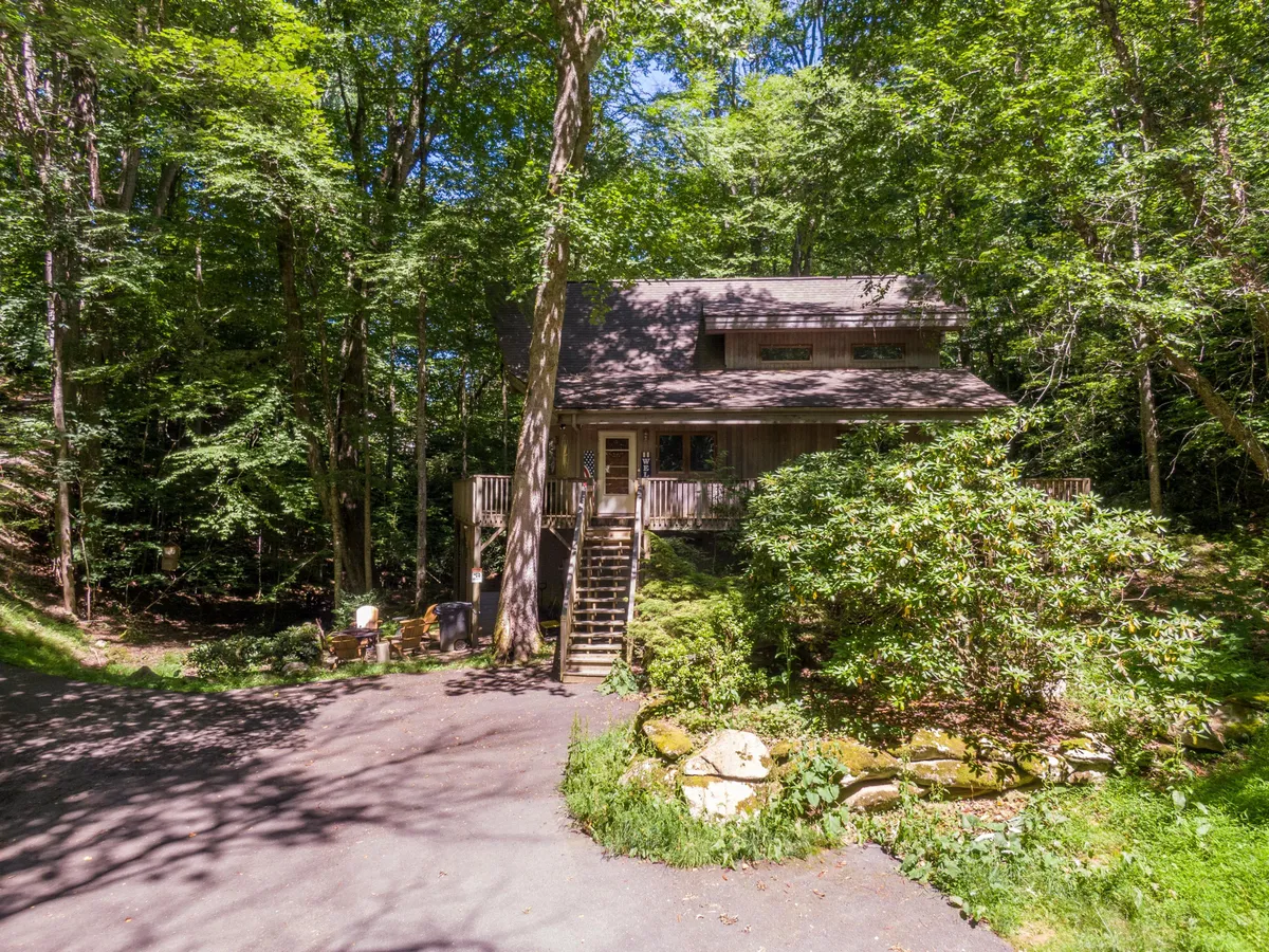 An inviting view of the exterior of the wooden house, framed by front steps, a stone pathway, and abundant surrounding greenery. The image captures the welcoming entrance and the woodland setting, suggesting direct access to nature trails and outdoor spaces for dogs to explore.